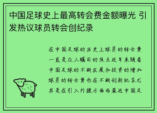中国足球史上最高转会费金额曝光 引发热议球员转会创纪录