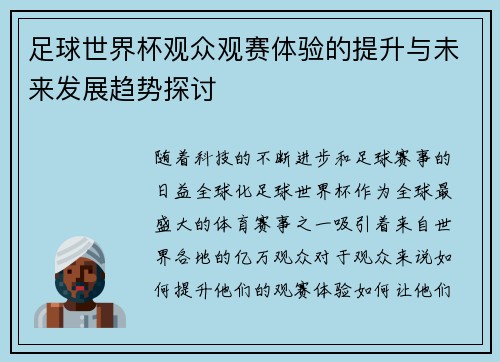 足球世界杯观众观赛体验的提升与未来发展趋势探讨